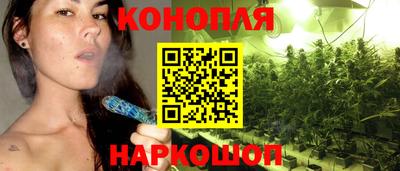 мдпв Камышлов