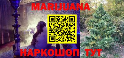 мдпв Камышлов