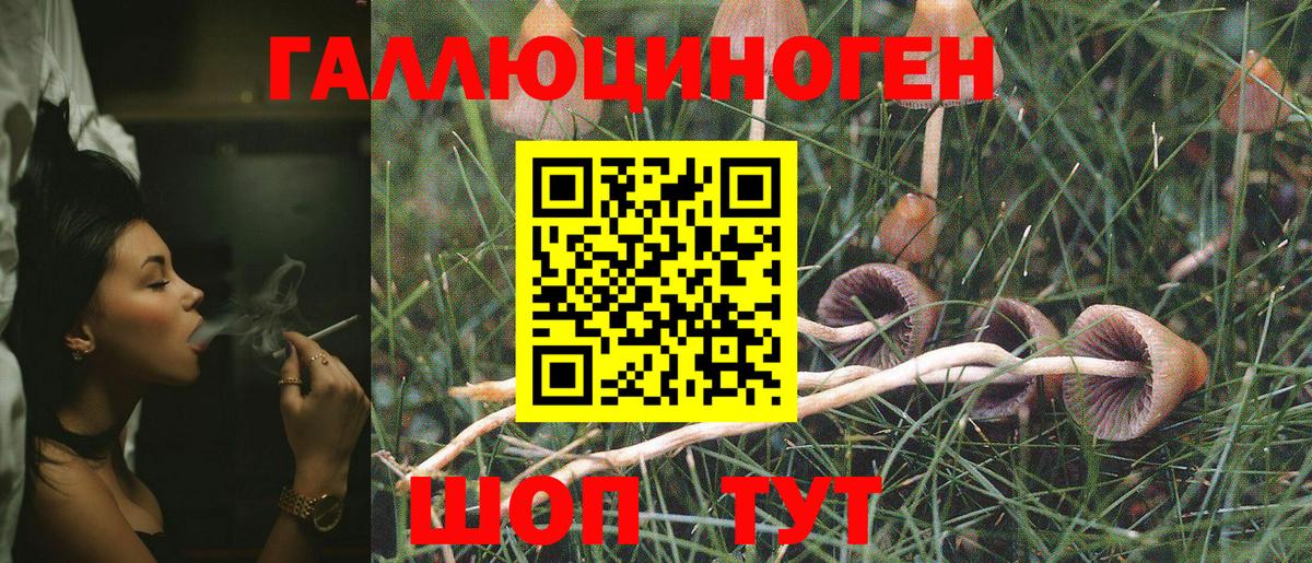 где продают наркотики  Псилоцибиновые грибы ЛСД  Псилоцибиновые грибы Psilocybine cubensis  Вход с VPN  Назрань 